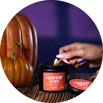 Pumpkin Spice Single Wick Candle
