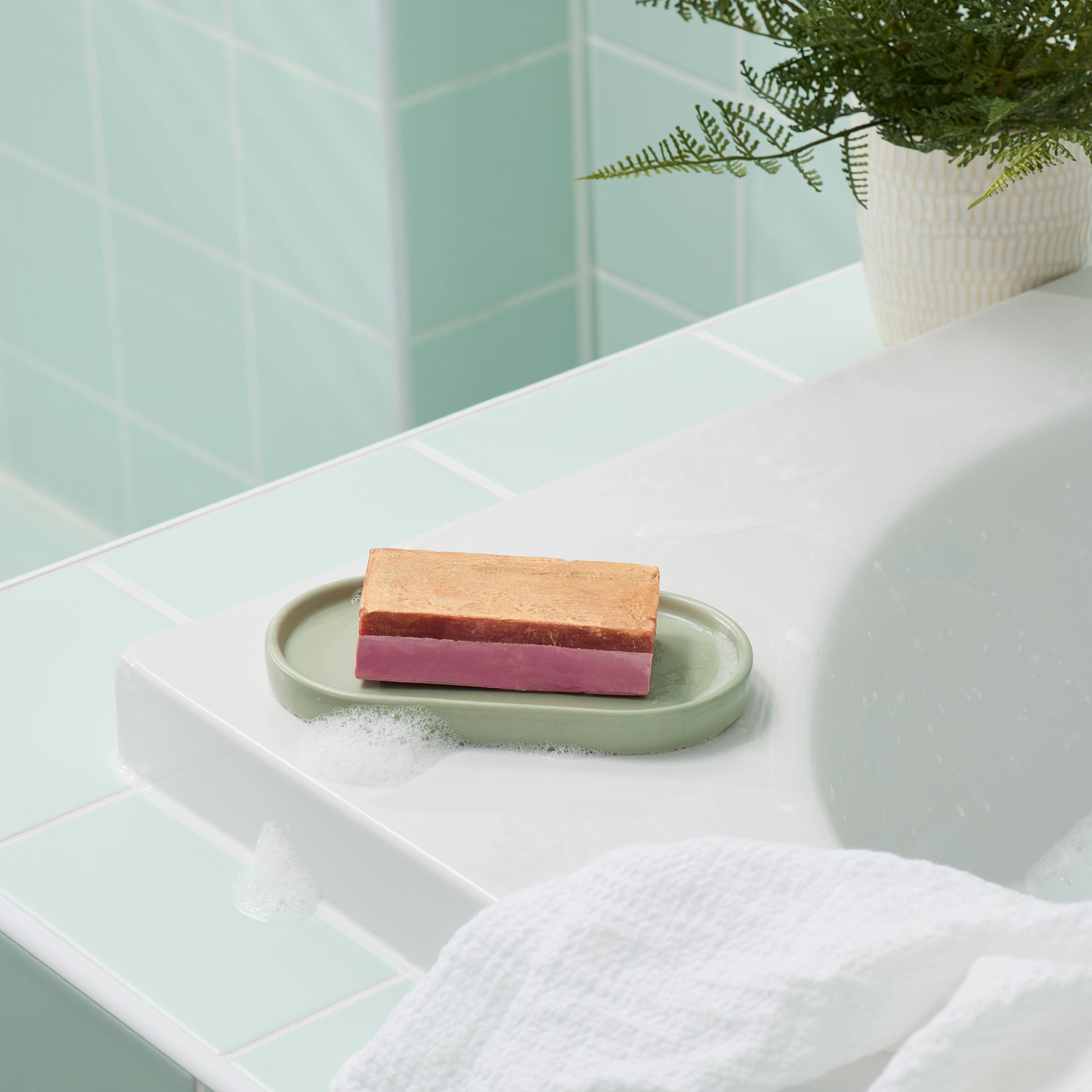 The Goose's Golden Egg 