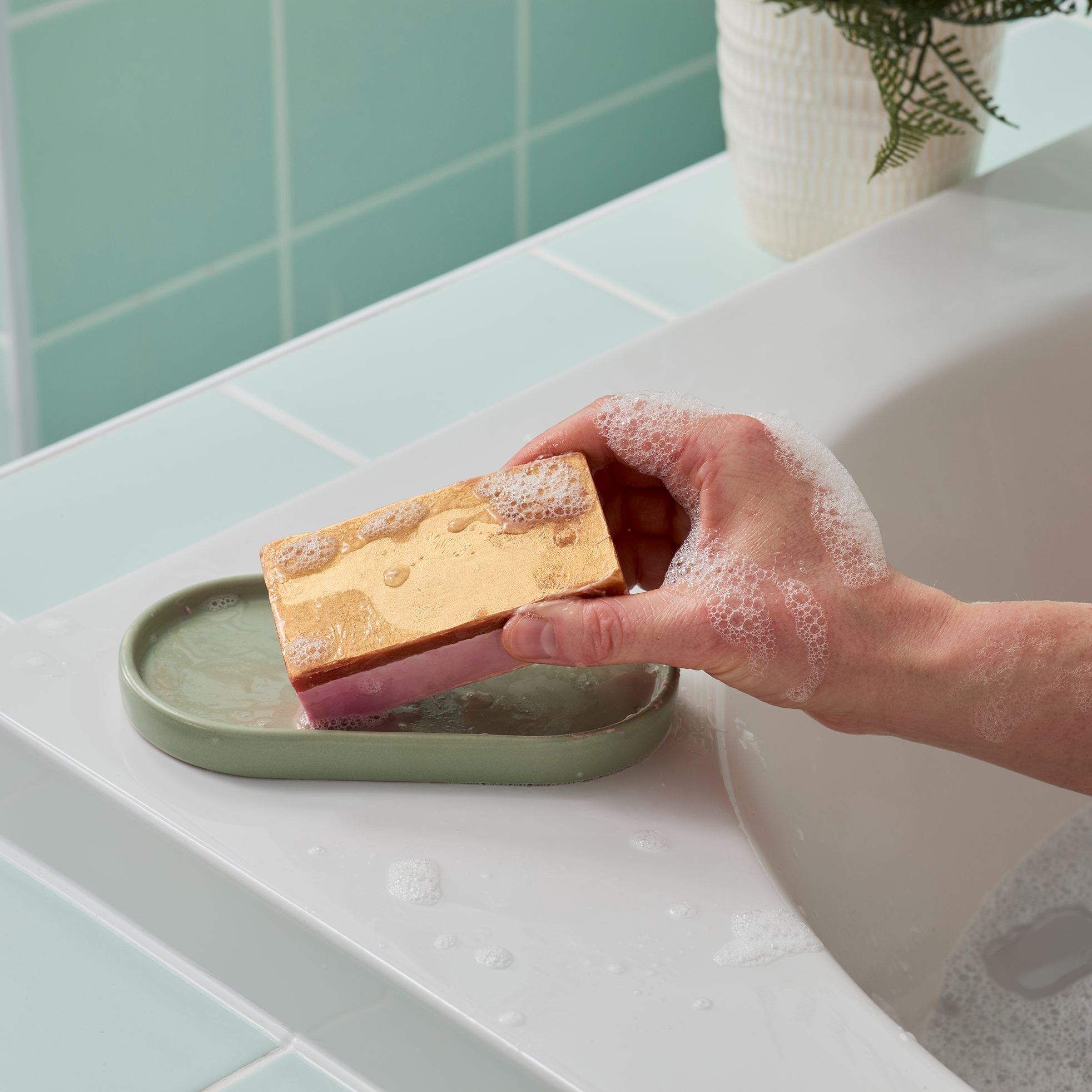 The Goose's Golden Egg 