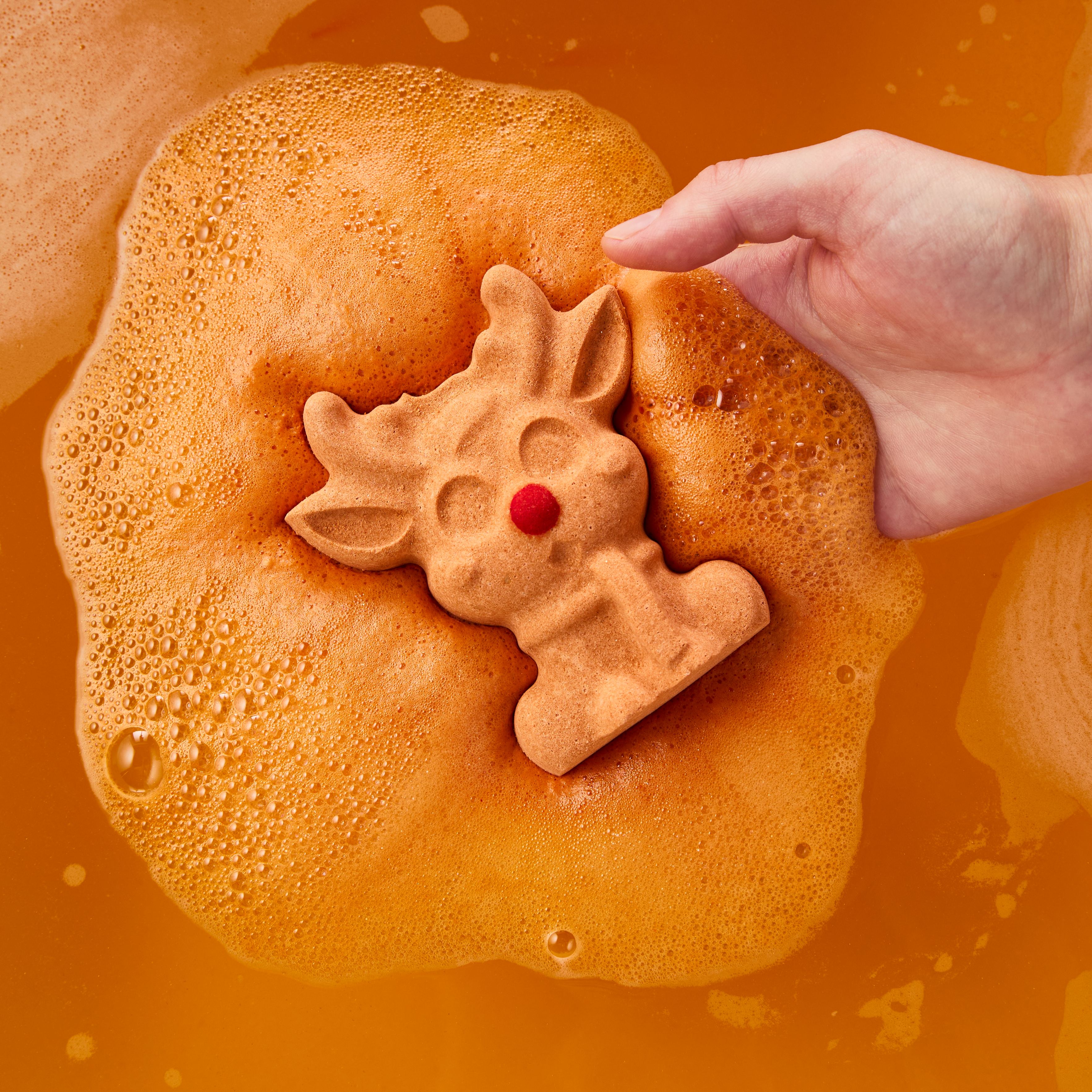Reindeer