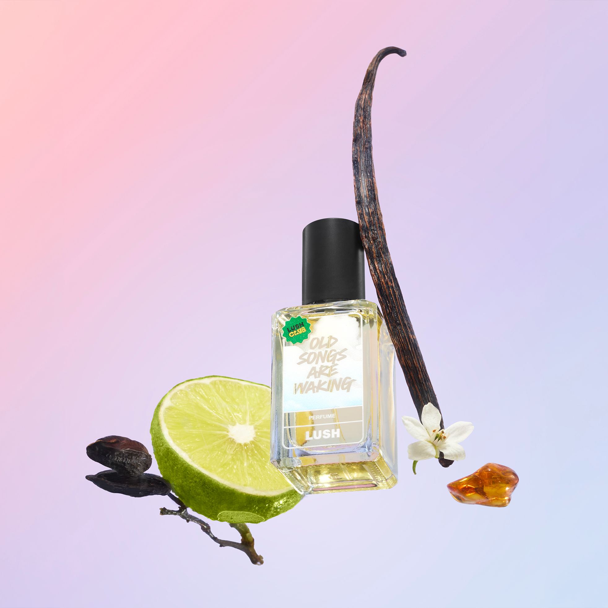 Old Songs Are Waking