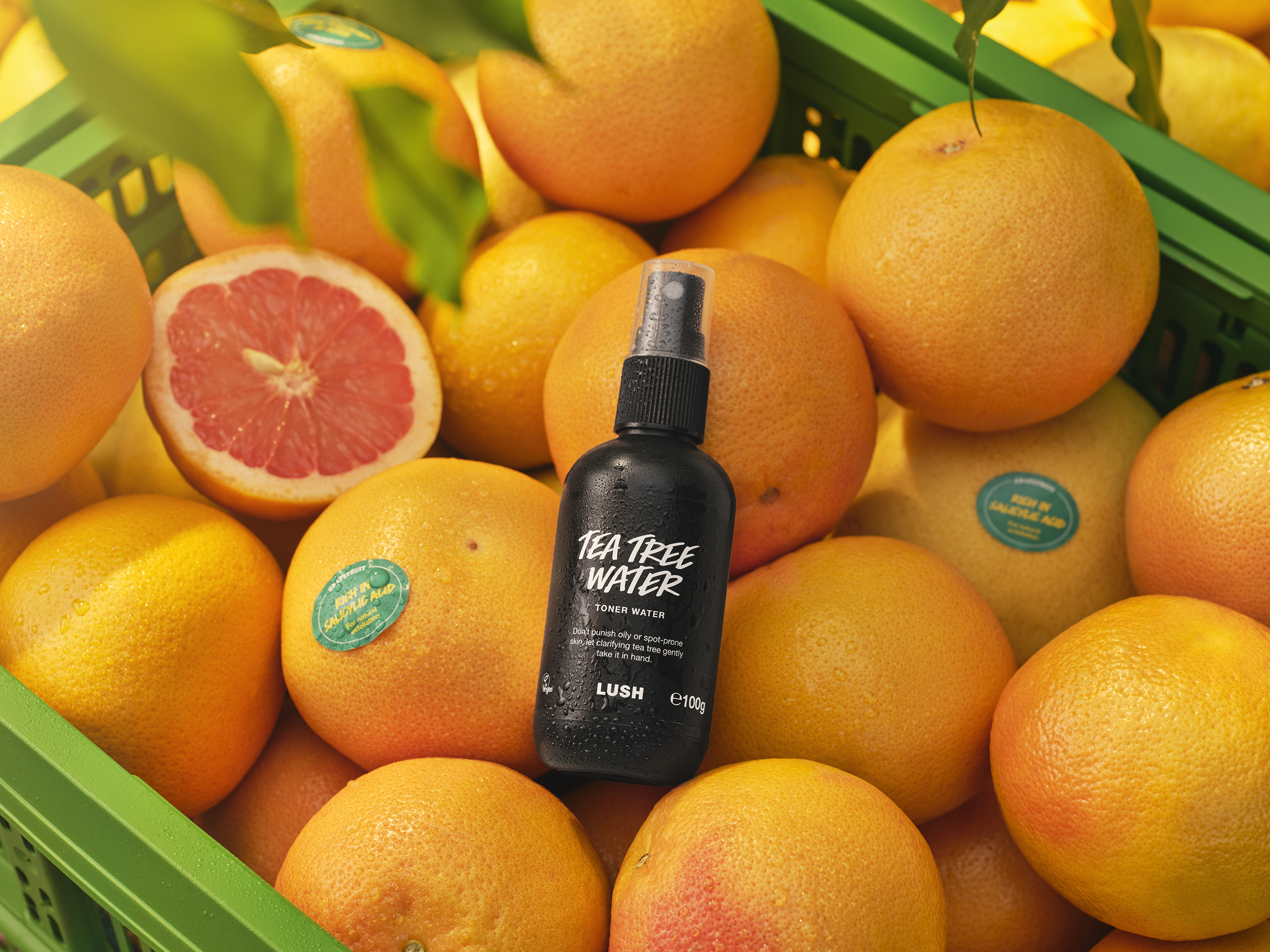 Skincare Classics – Lush Singapore