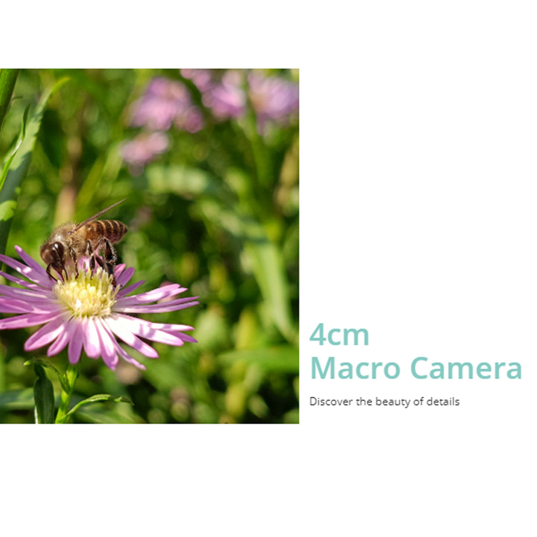 realme 12+ 5G 12GB+256GB | 120Hz Smooth AMOLED Display | realme UI 5.0 | Rainwater Smart Touch | Smartphone with 1 Year Warranty