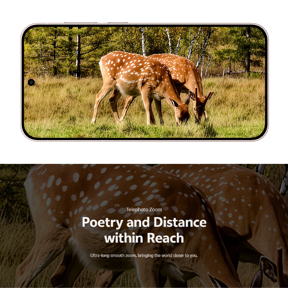 vivo X300 5G 12GB+256GB / 16GB+512GB | 6.31-inch | 200MP Rear Camera | Mediatek Dimensity 9500 (3 nm) | Dual SIM | Li-Po 6040 mAh