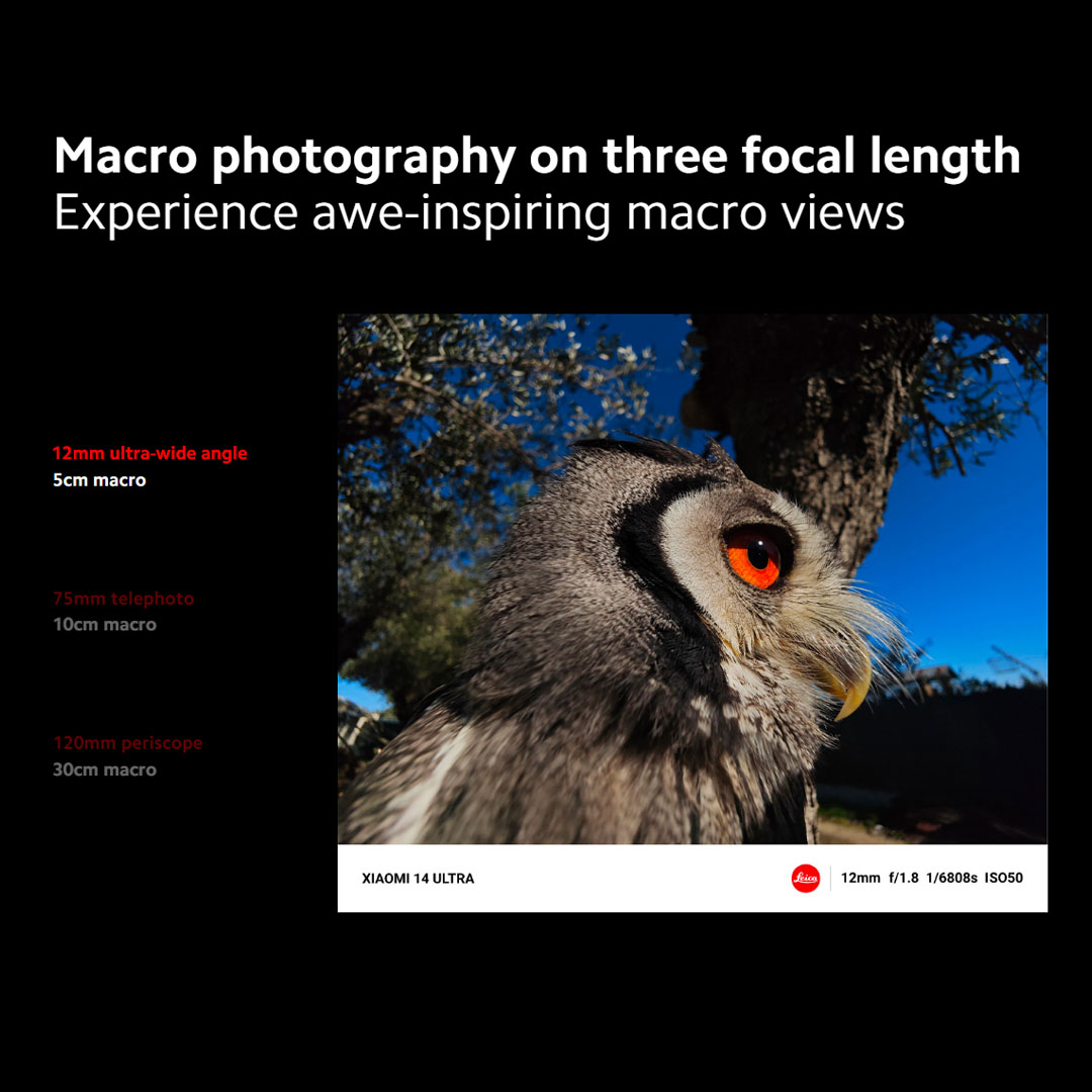 Xiaomi 14 12GB+512GB | Ultra-large Image Sensor | Supports Dolby Vision® Shooting | Leading Imagery | Compact Size | Smartphone with 1 Year Warranty