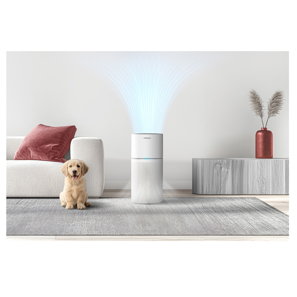 Hitachi Air Purifier EP-TZ50WG | Coverage Area up to 48m² | HEPA H13 Filter | Powerful DC Motor Fan | Smart Control