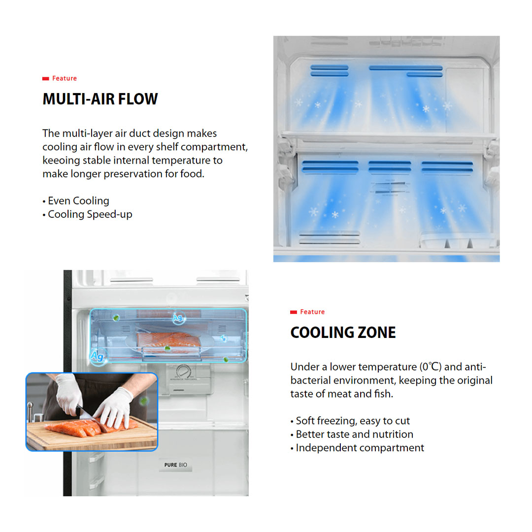 TOSHIBA 220L / 270L / 310L 2 Doors Top Mount Origin Inverter Refrigerator GR-RT230WE-PMY / GR-RT300WE-PMY / GR-RT320WE-PMY | Multi-Air Flow | Cooling Zone | Ultra Big Box | Refrigerator with 2 Year Warranty