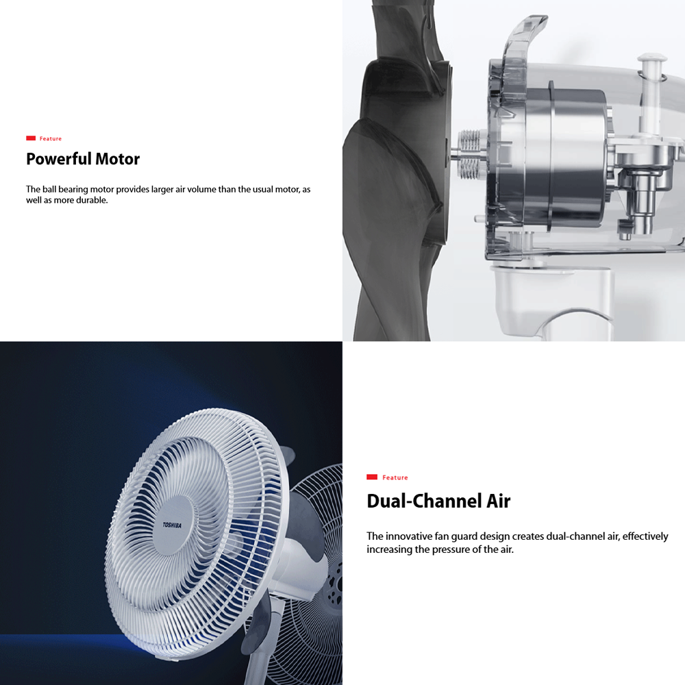 TOSHIBA 16" Wall Fan F-AWB50MY| Dual-Channel Air | 5 Horn-Like Fan Blades | Ball Bearing Motor
