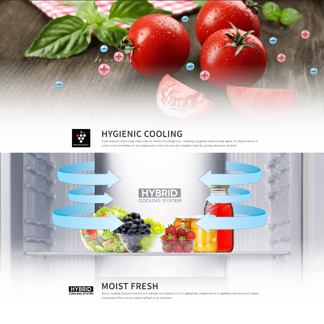 SHARP 500L 2 Doors Top Mount Pelican J-Tech Inverter Refrigerator SJP50MS | Express Freezing | Extra Cool | Moist Fresh | Refrigerator with 1 Year Warranty