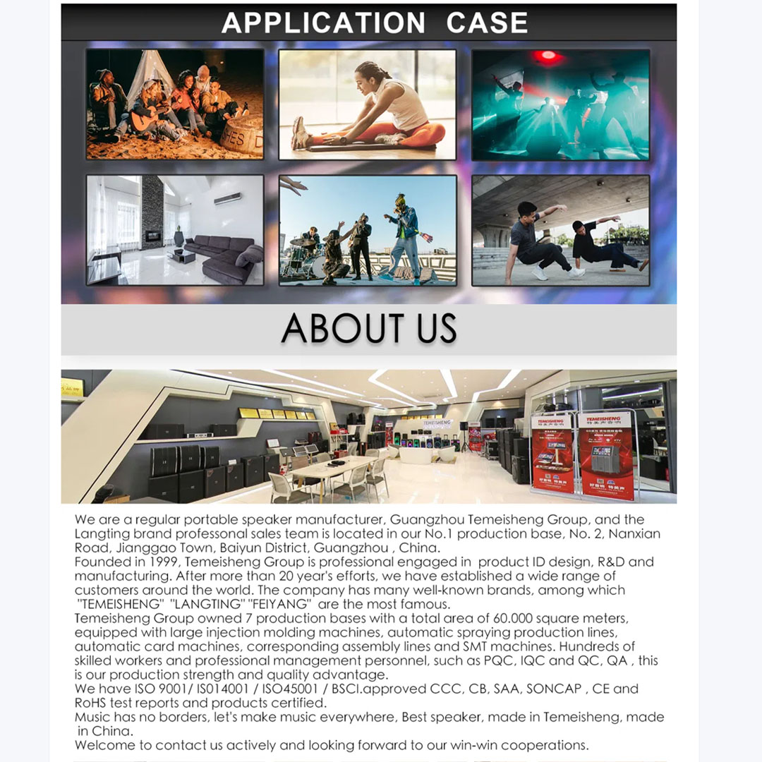 Temeisheng 8'' Portable Home Party Speaker TMS6830-08 | Ambient Light | Wireless Streaming With Bluetooth | 7.4V 3000mAh | Portable Speaker with 1 Year Warranty