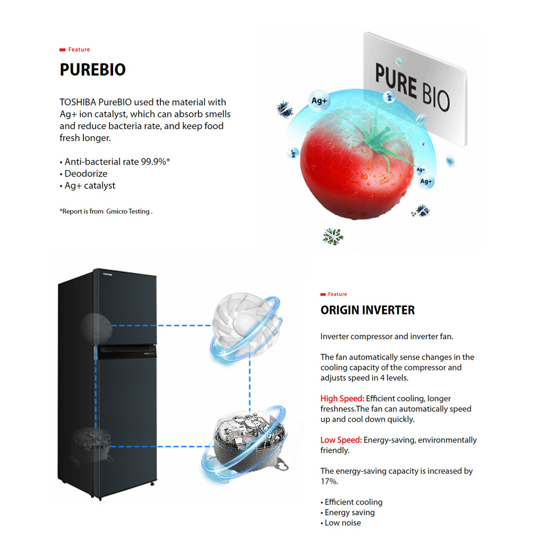TOSHIBA 220L / 270L / 310L 2 Doors Top Mount Origin Inverter Refrigerator GR-RT230WE-PMY / GR-RT300WE-PMY / GR-RT320WE-PMY | Multi-Air Flow | Cooling Zone | Ultra Big Box | Refrigerator with 2 Year Warranty