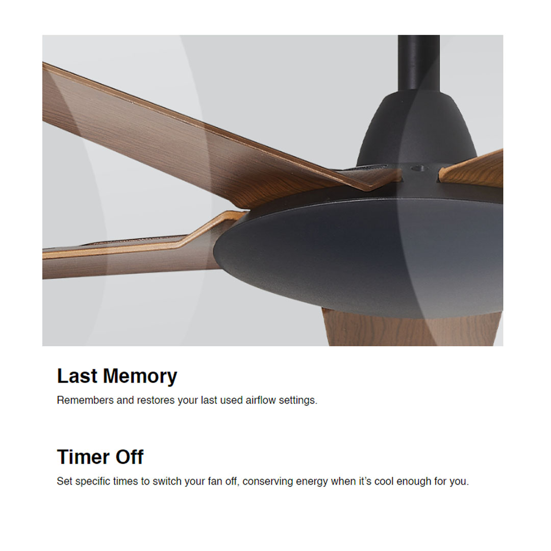 ALPHA 56" COSA 5 Blades DC Motor Ceiling Fan EX9-5B/56 | DC Motor | 12+12 Speed | Natural Wind | Sleep Wind | Timer Off | Ceiling Fan with 1 Year Warranty