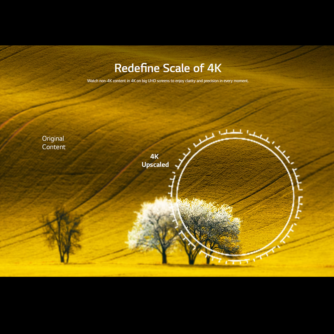 LG 50"/55"/65" 4K UHD Smart TV with AI ThinQ | α5 AI Processor 4K Gen6 | HDR10 | webOS 23 | HDMI | USB | Smart TV with 2 Year Warranty