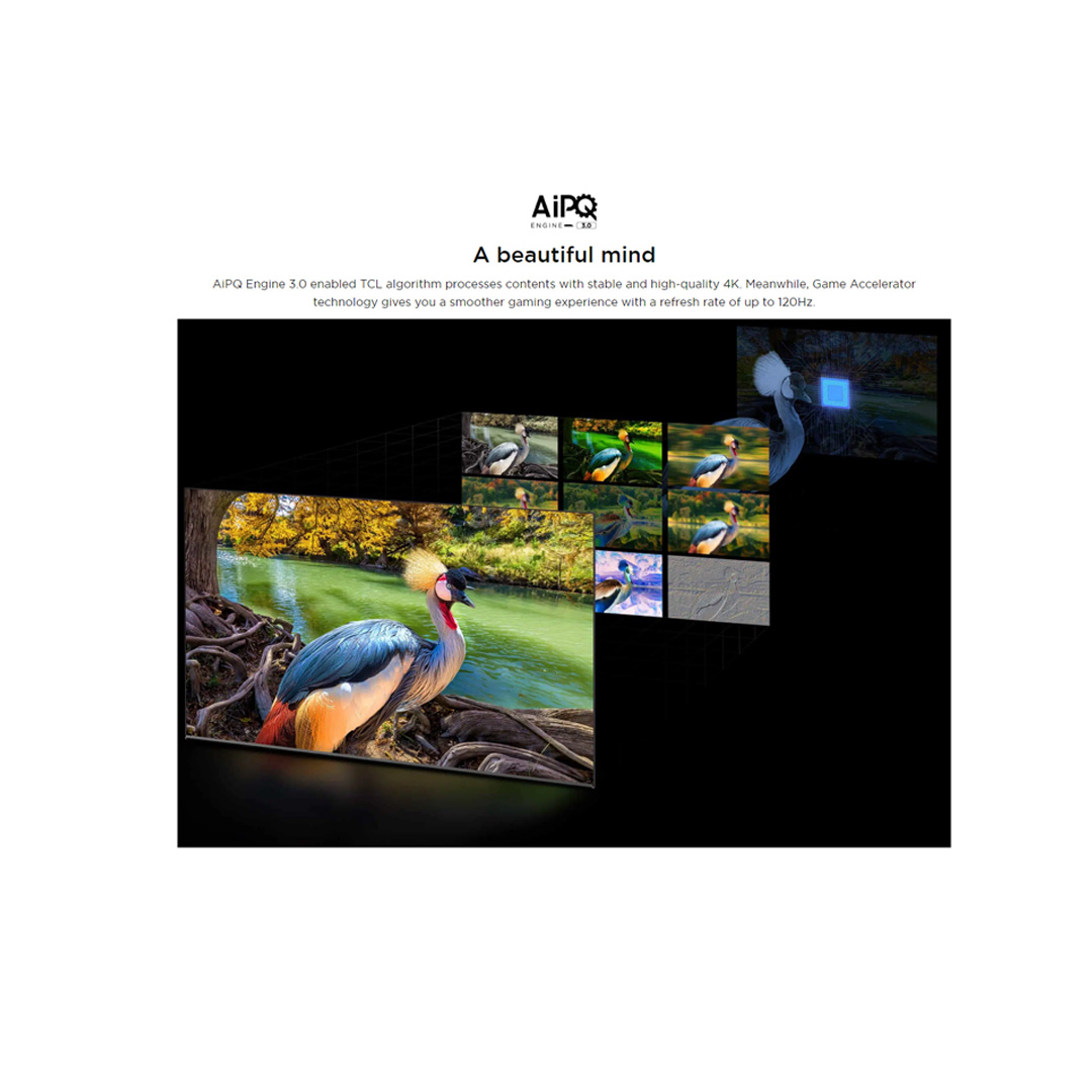 TCL 50" / 55" / 65" / 75" / 85" 4K UHD QLED Google TV | 50C645 / 55C645 / 65C645 / 75C645 / 85C645 | Quantum Dot | AiPQ Engine 3.0 | Ai- COLOR | Google TV with 2 Year Warranty