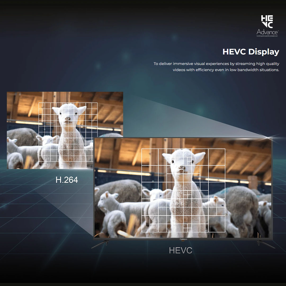 Caixun 50"/55:/65" 4K LED Google TV (ProViXio) C50V1UG/C55V1UG/C65V1UG | Dual High-Power Speakers | Stunning 4K Resolution | Bezel-less Frame | Smart TV with 3 Year Warranty