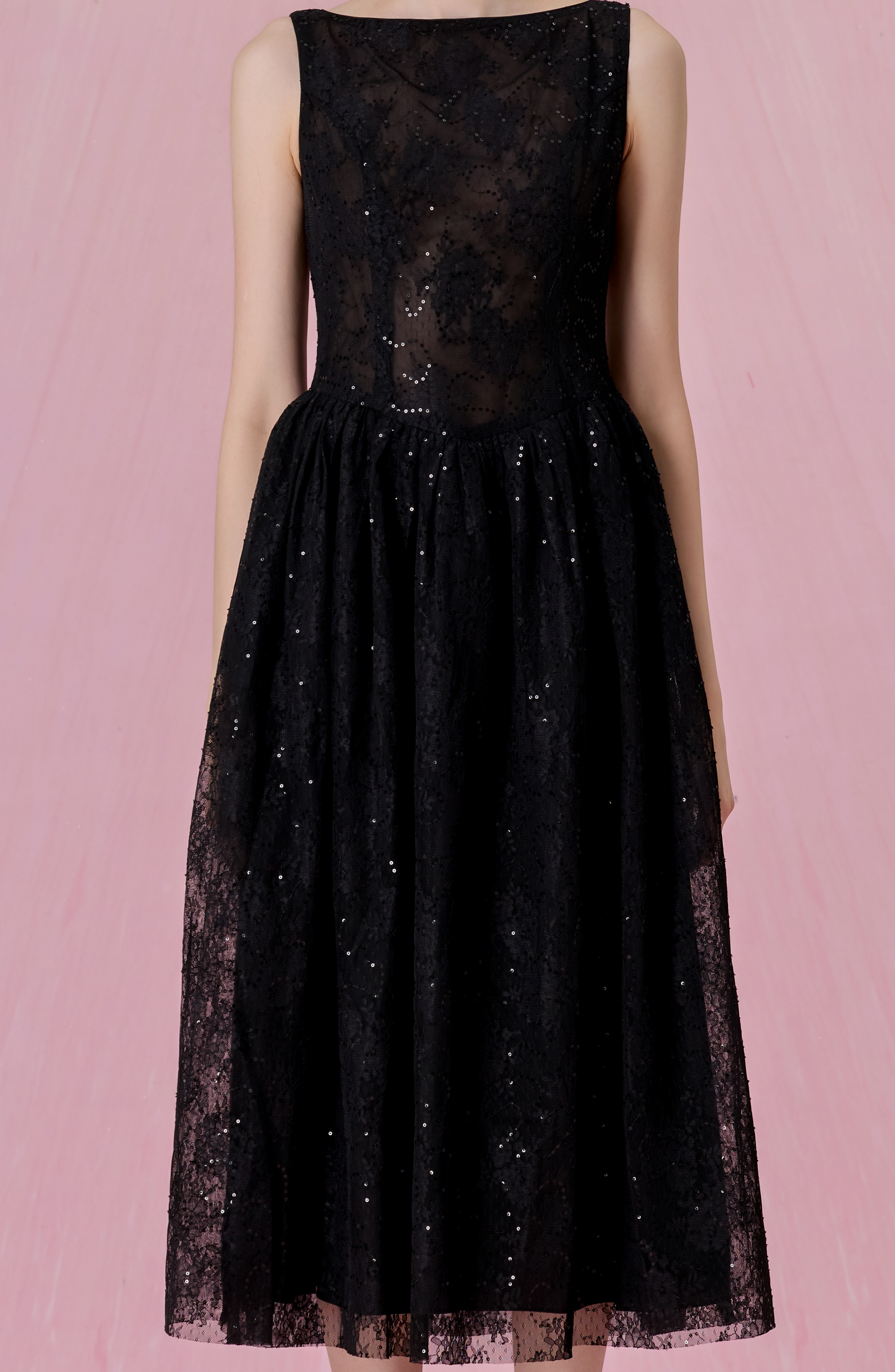 Cherina Black Sheer Lace A-Line Dress