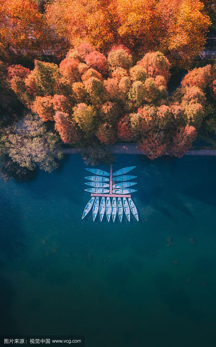 collentions_alt_0801