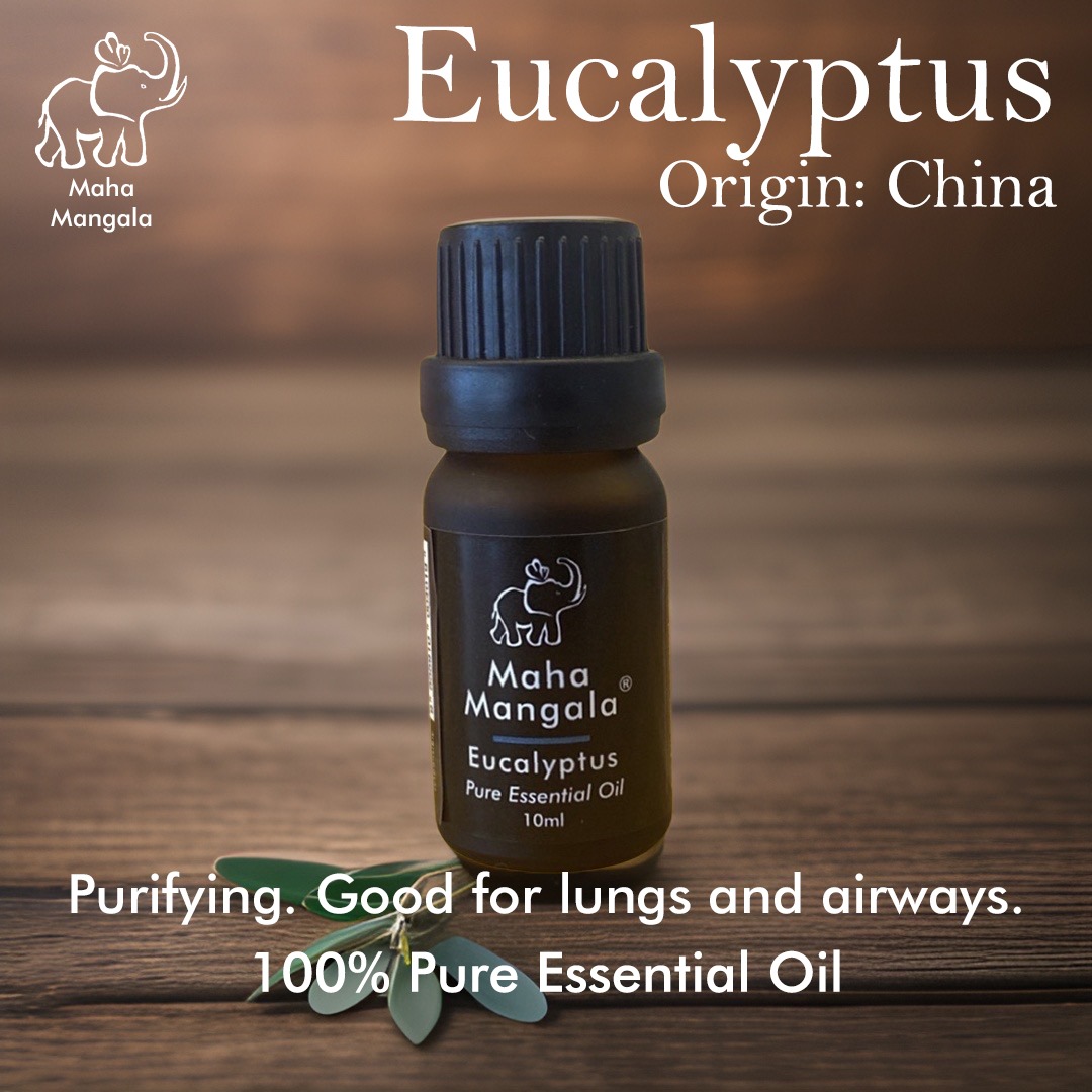 MM Eucalyptus Pure Essential Oil 10ML Natural Pure Essential Oil 大吉祥尤加利纯精油 10毫升天然纯精油