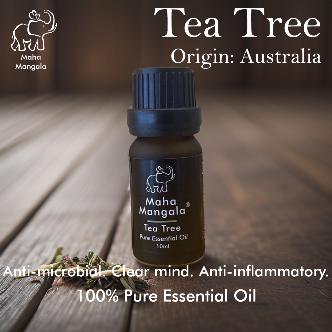 MM Tea Tree Pure Essential Oil 10ML Natural Pure Essential Oil 大吉祥茶树精油 10毫升天然纯精油