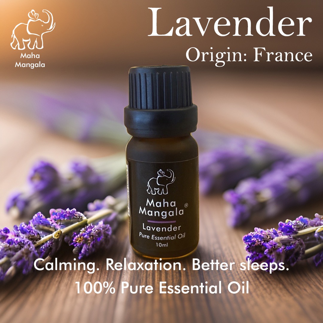 MM Lavender Pure Essential Oil 10ML Natural Pure Essential Oil 大吉祥薰衣草纯精油 10毫升天然纯精油