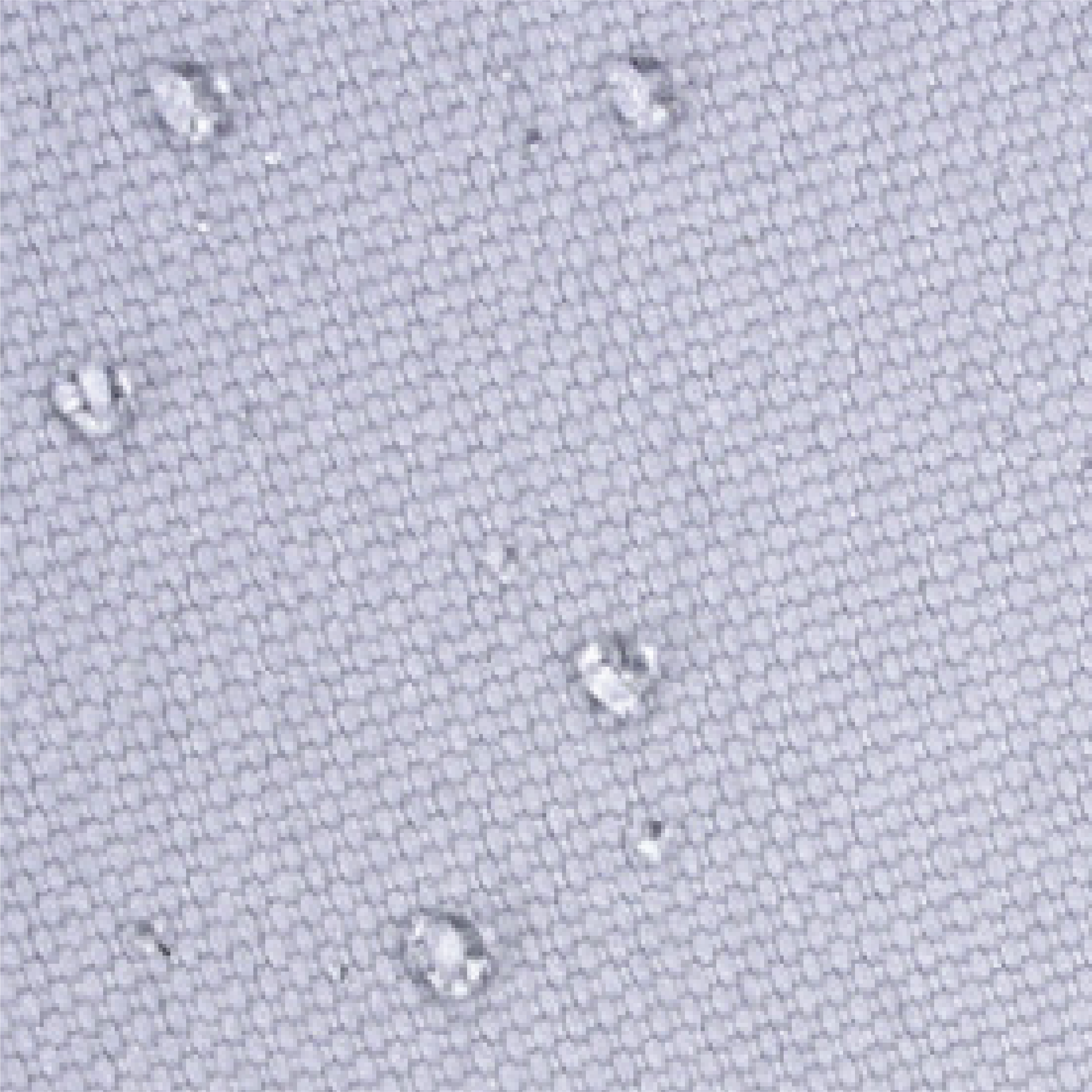 LIMA`25 Conference Bag