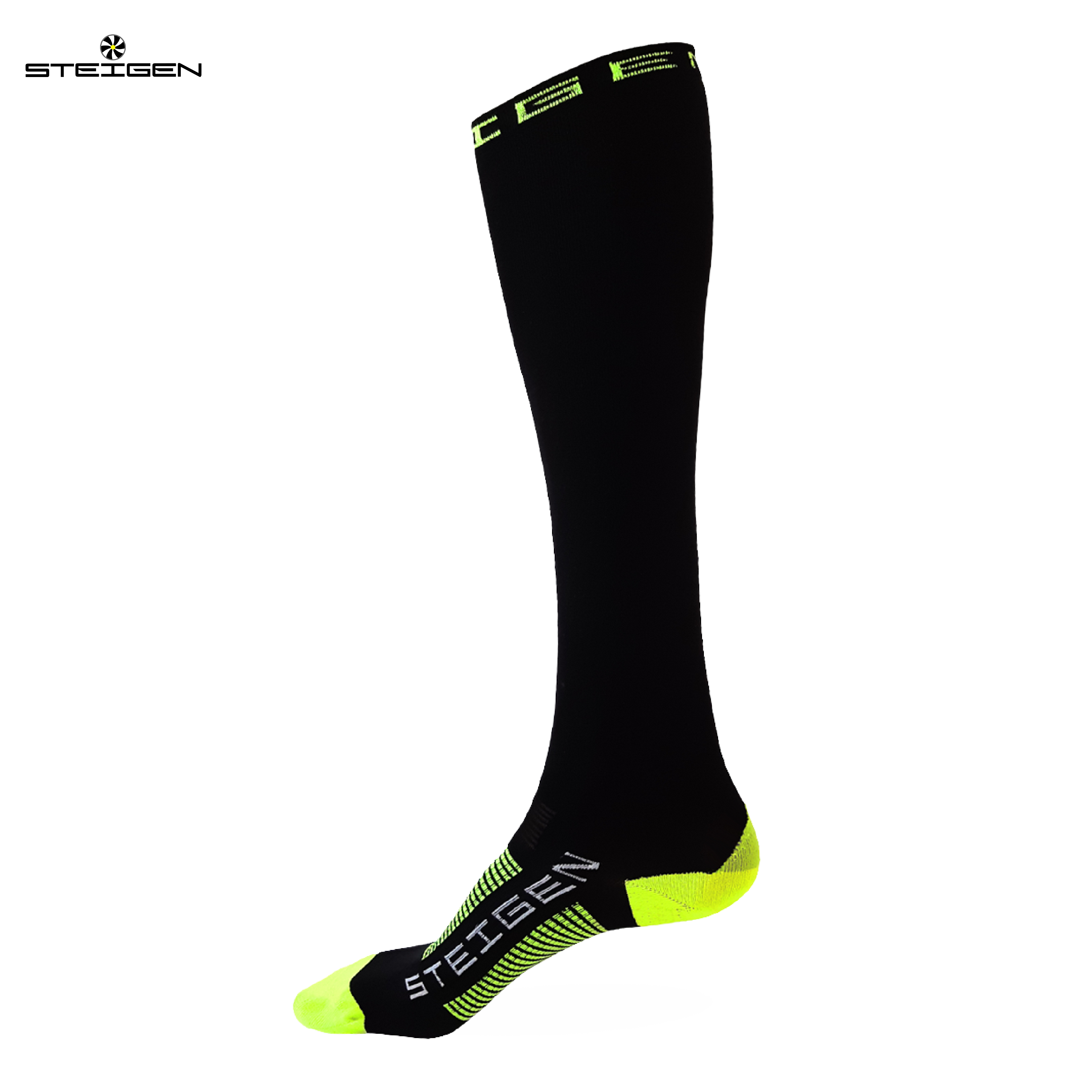 STEIGEN 4/4 Length  