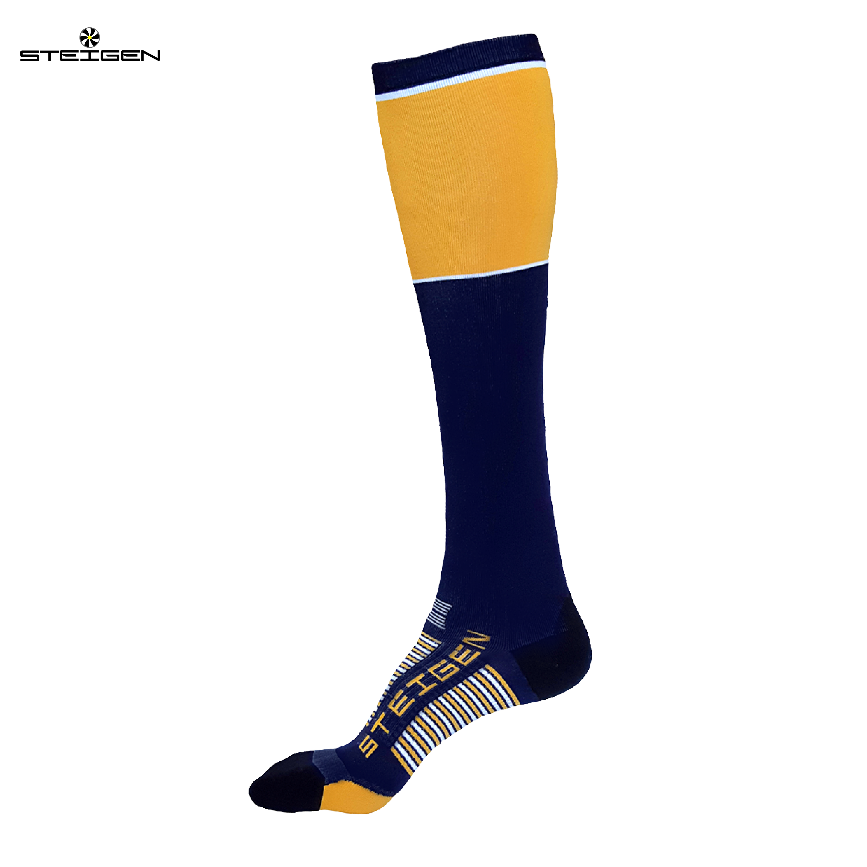 STEIGEN 4/4 Length  