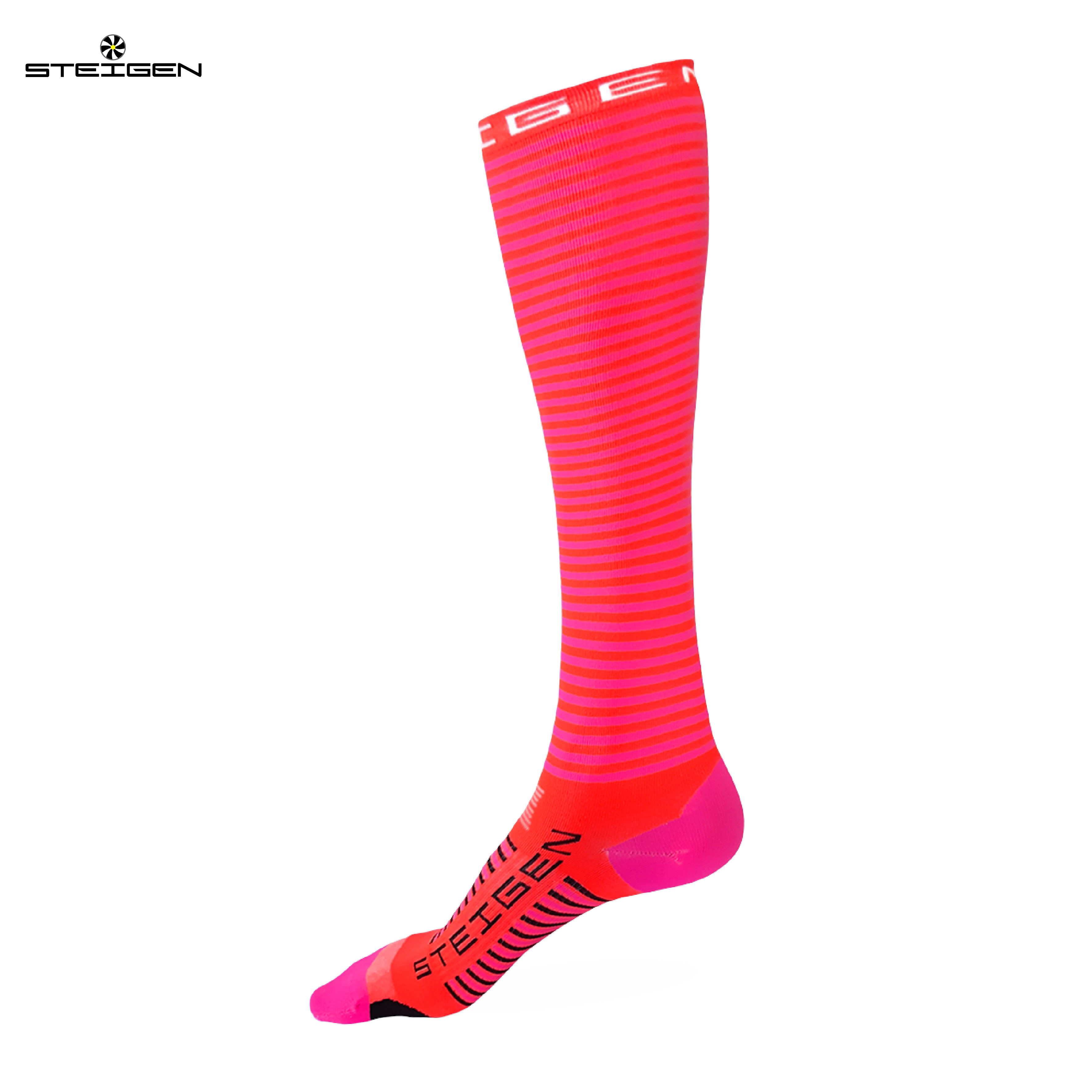 STEIGEN 4/4 Length  