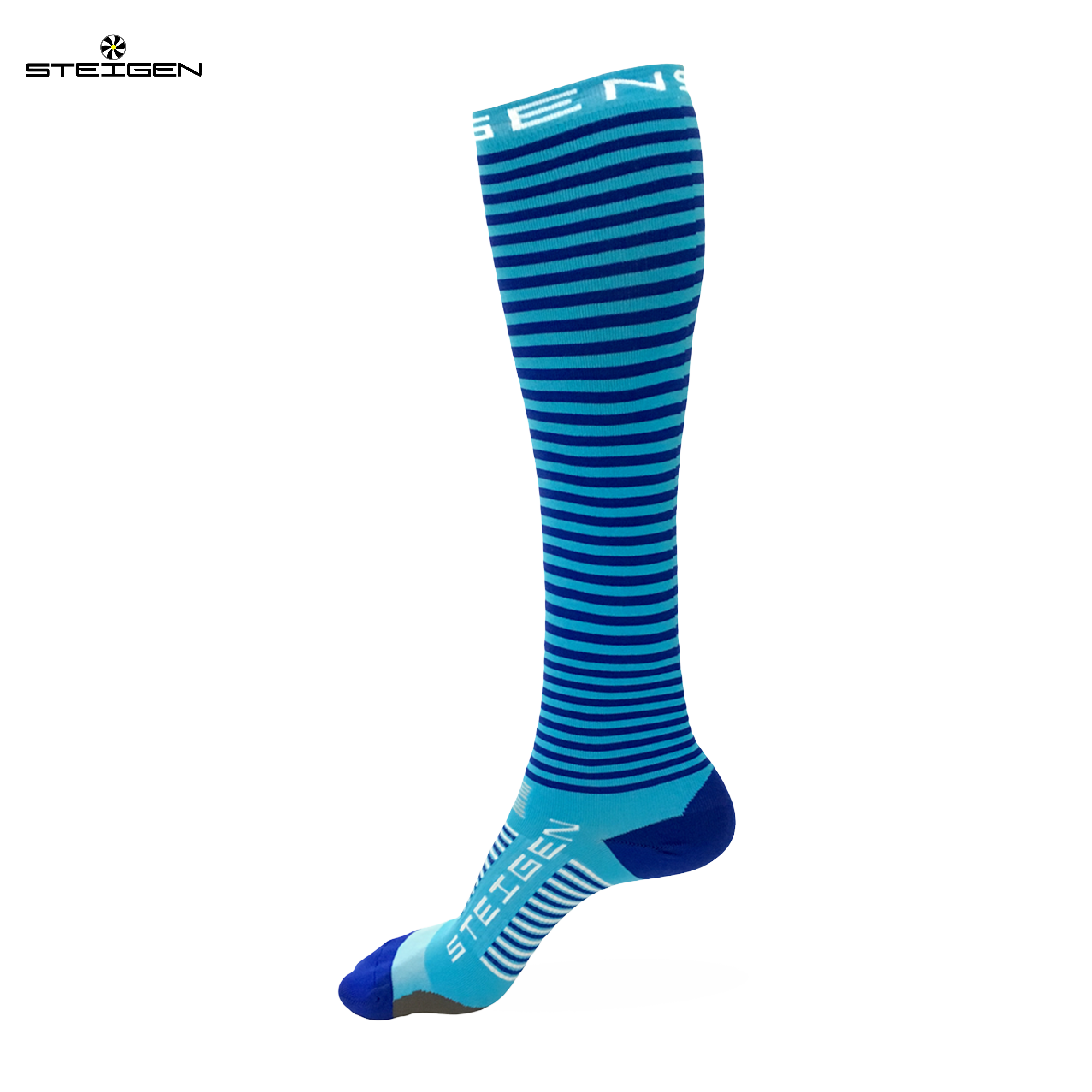 STEIGEN 4/4 Length  