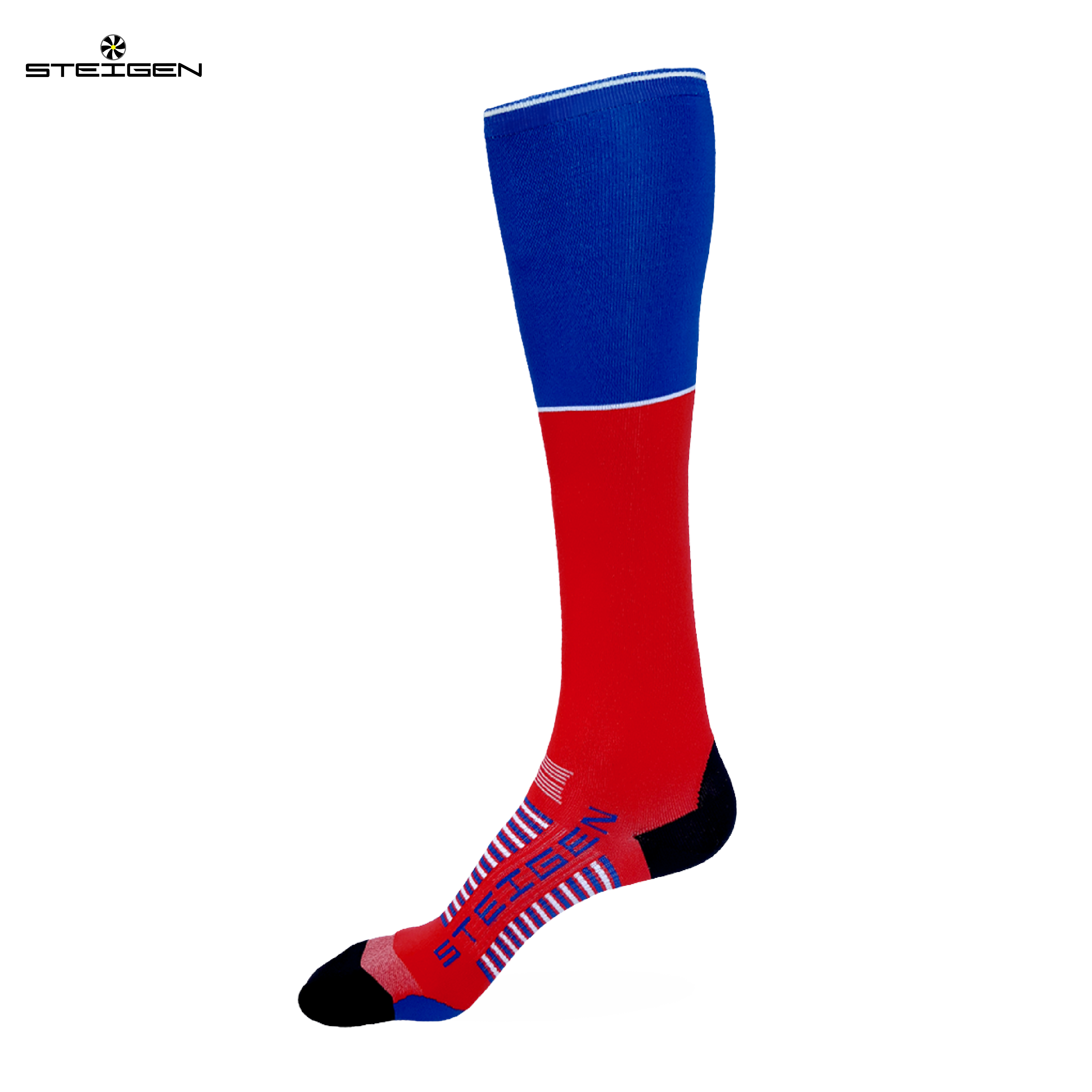 STEIGEN 4/4 Length  