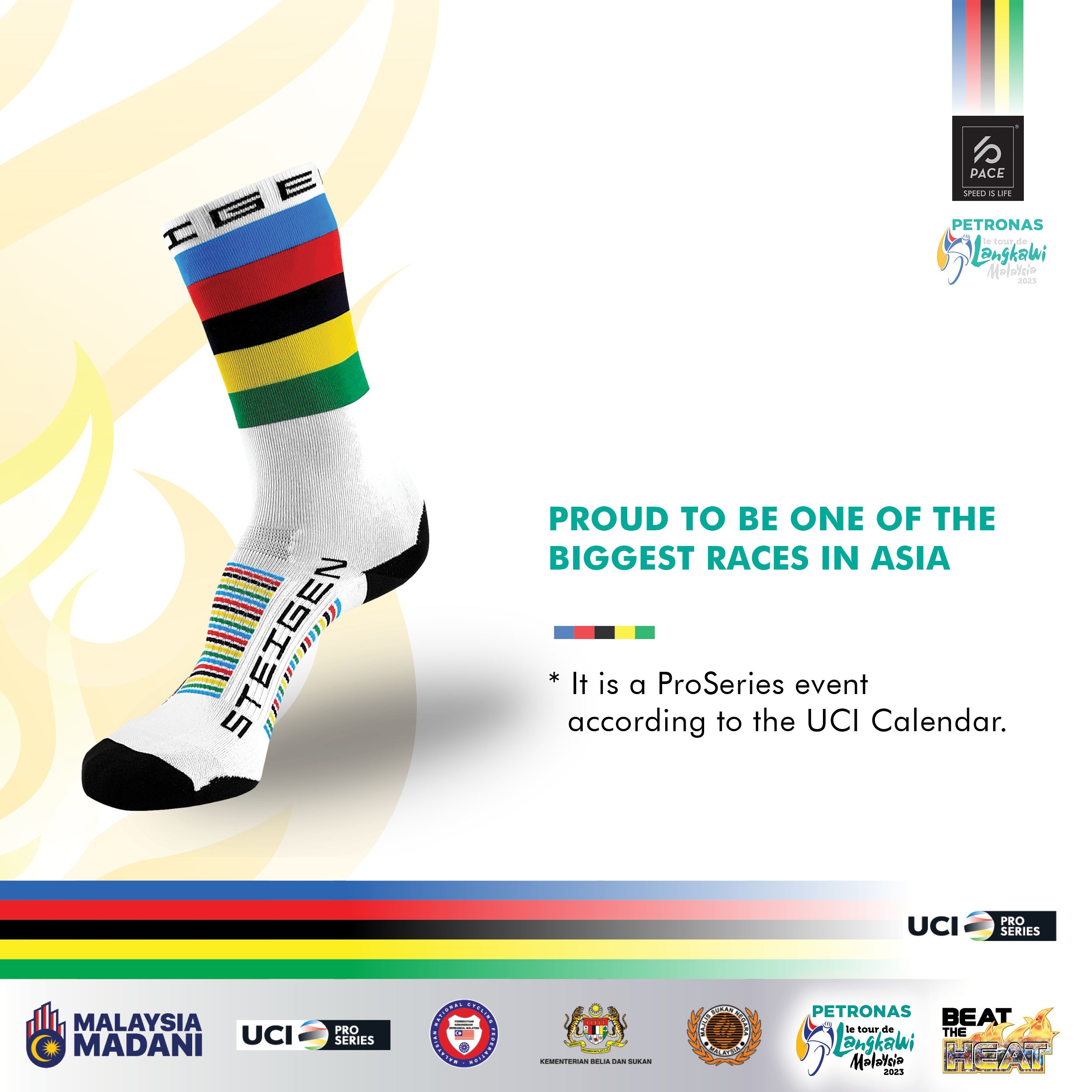 Steigen world champion socks