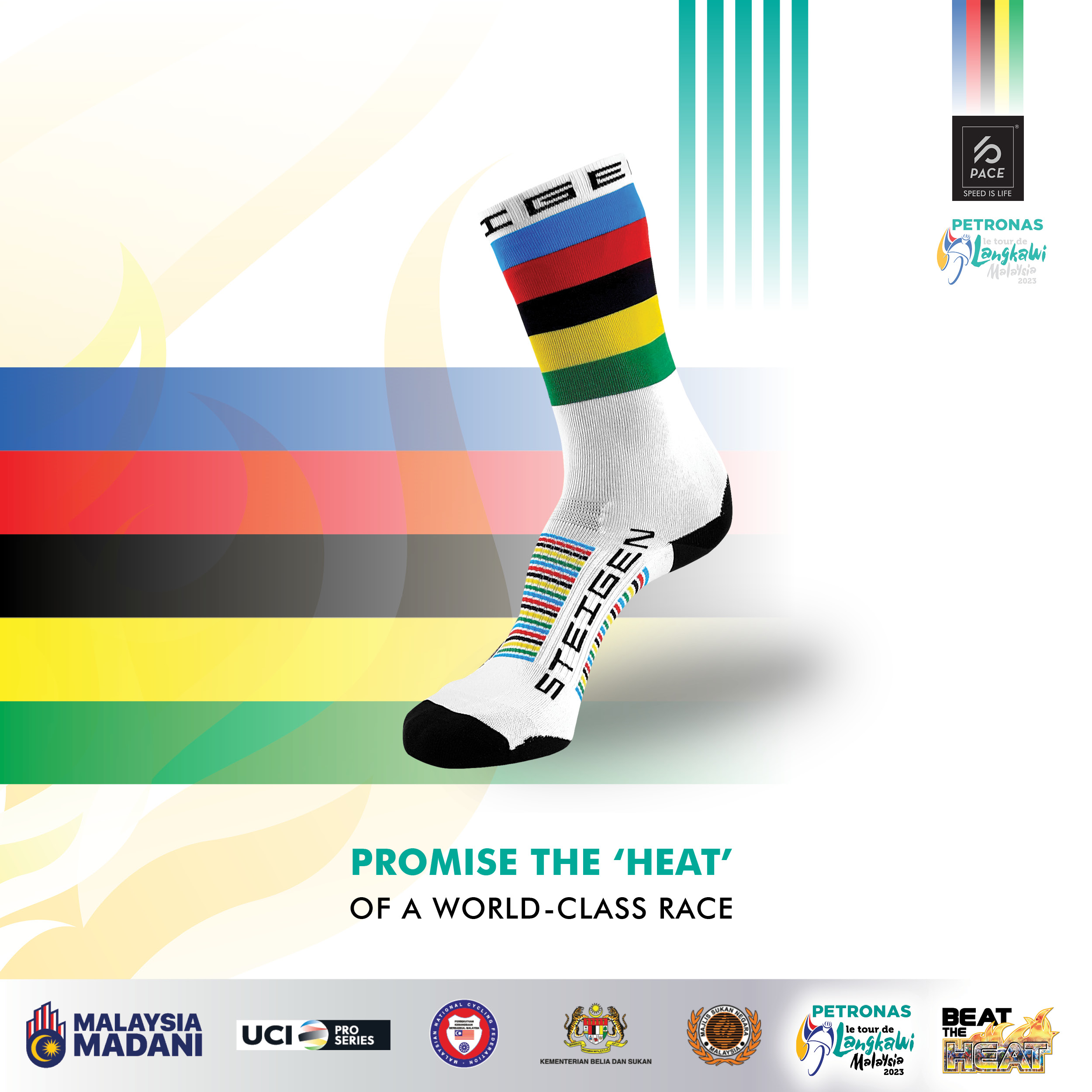 Steigen world champion socks