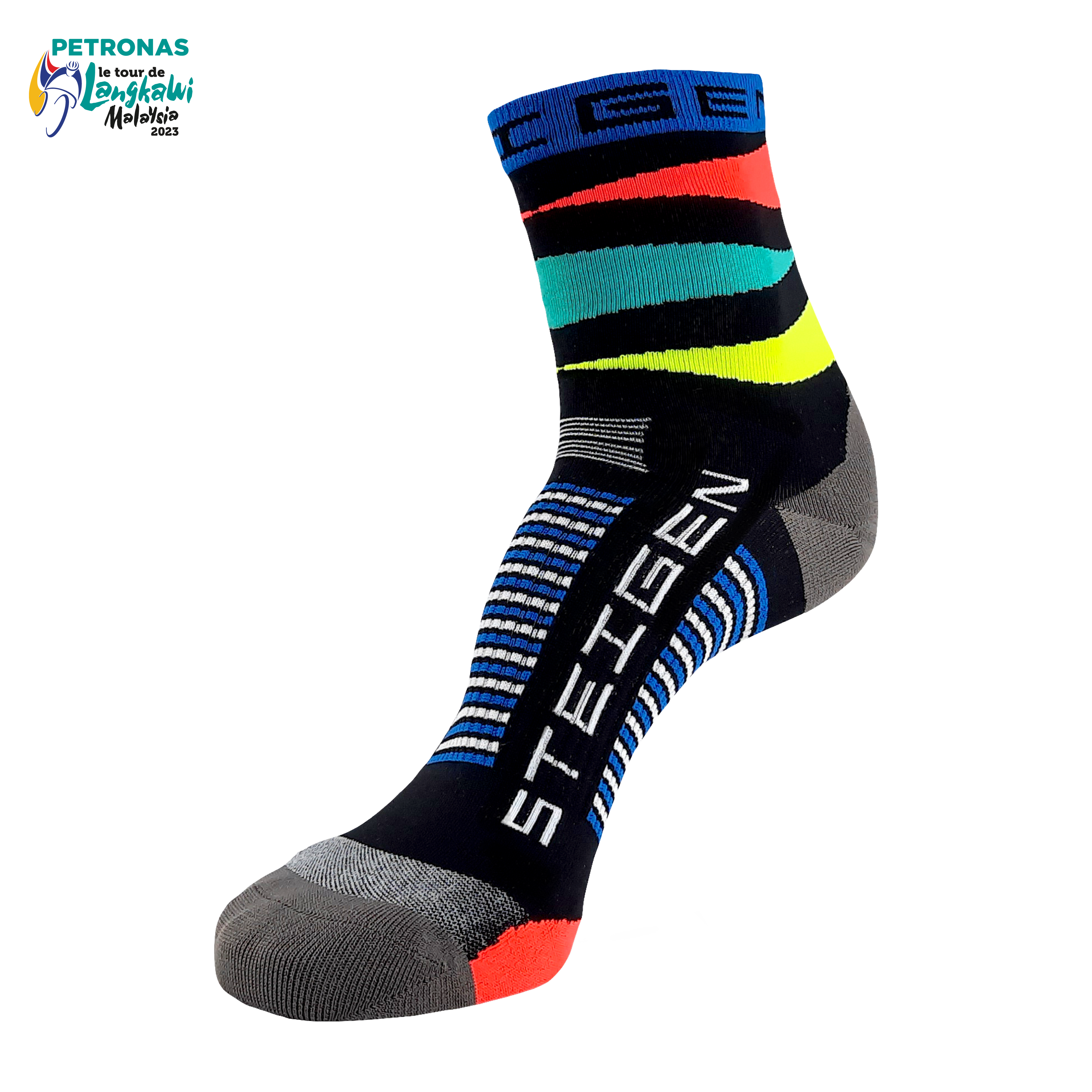 LTDL`23 STEIGEN World Champion Socks
