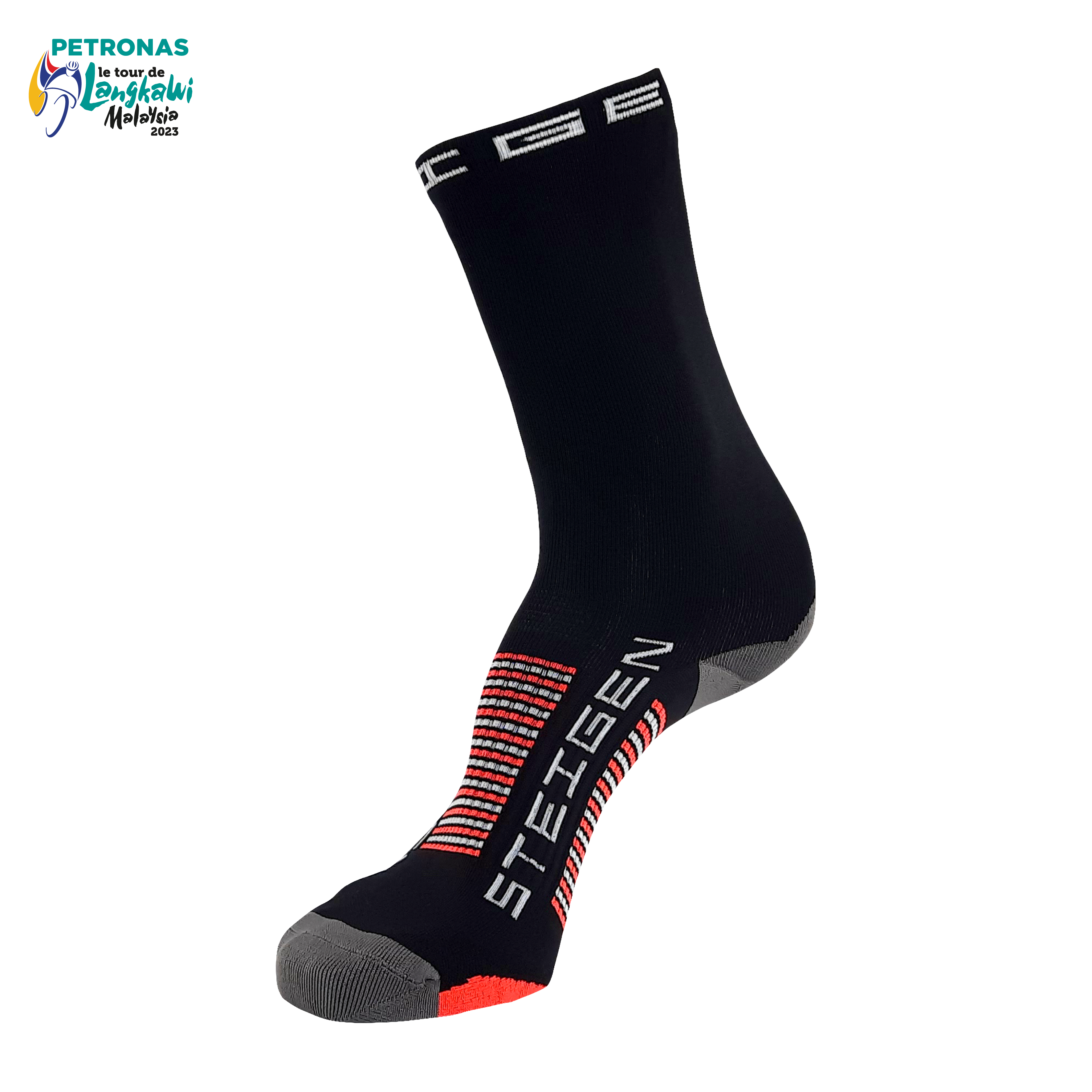 LTDL`23 STEIGEN World Champion Socks