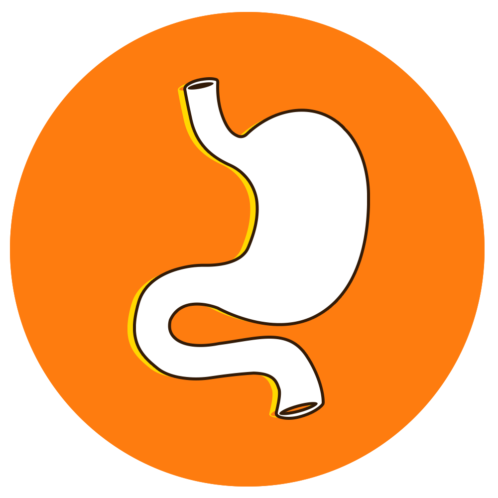 Digestion and Stomach Issues?