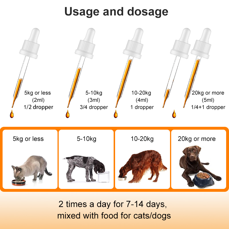 Puainta® Liquid Vitamin B Compound- 30ml