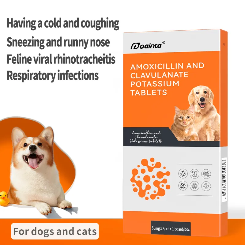 Cold & Kennel Cough Treatments for Dogs
