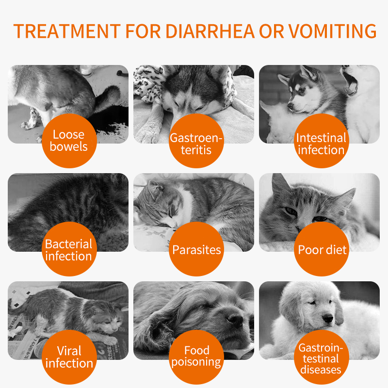 Gastroenteritis Treatment Diarrhea Relief TabletsFor dogs & cats