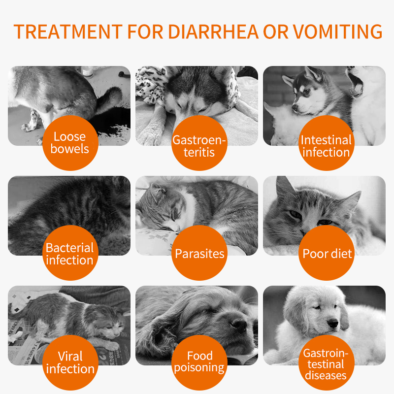 Gastroenteritis Treatment Diarrhea Relief TabletsFor dogs & cats