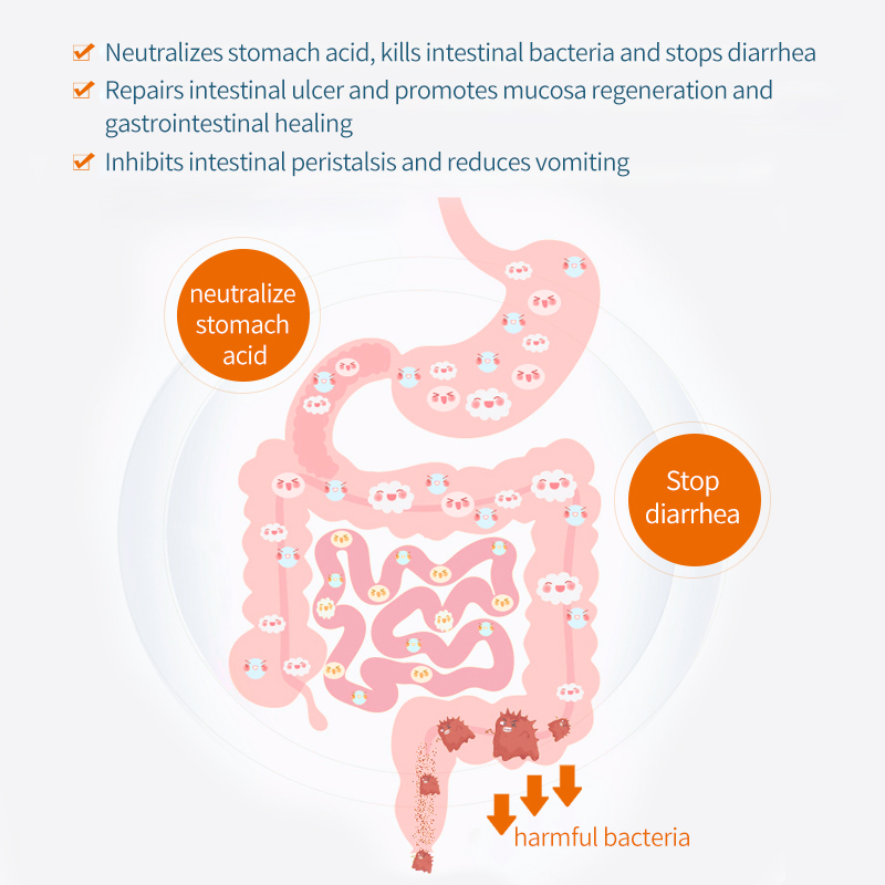 Gastroenteritis Treatment Diarrhea Relief TabletsFor dogs & cats