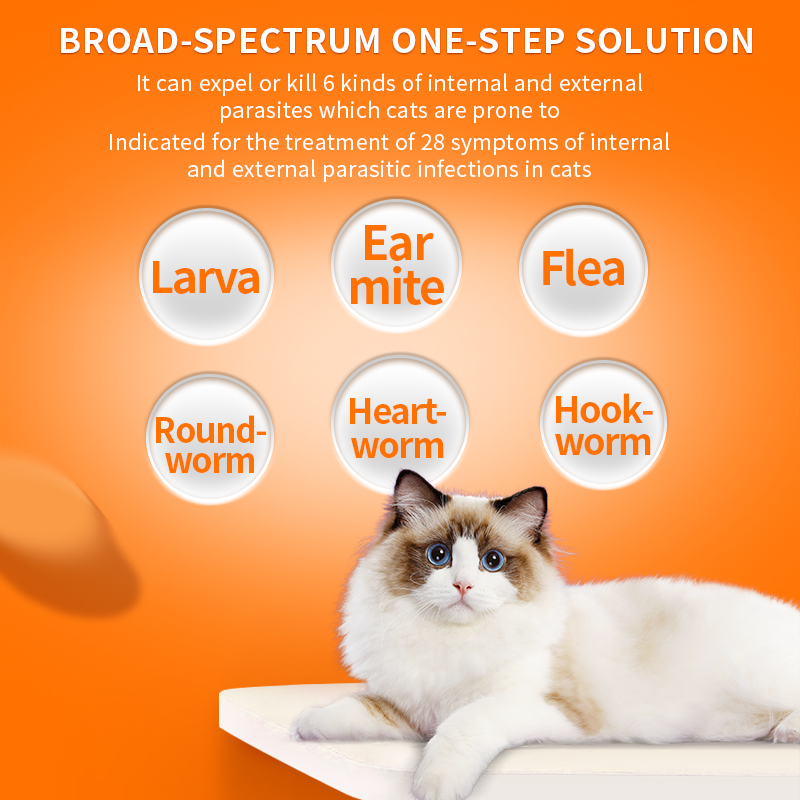 Puainta | Dewormer Anti Flea Lice and Worms for Dogs/ Cats