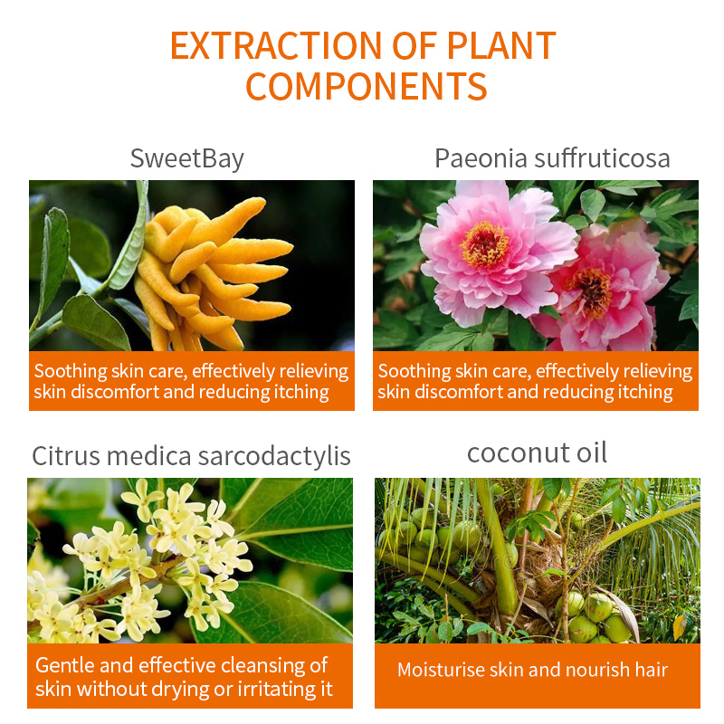 IKEAN PET SHAMPOO-200ml