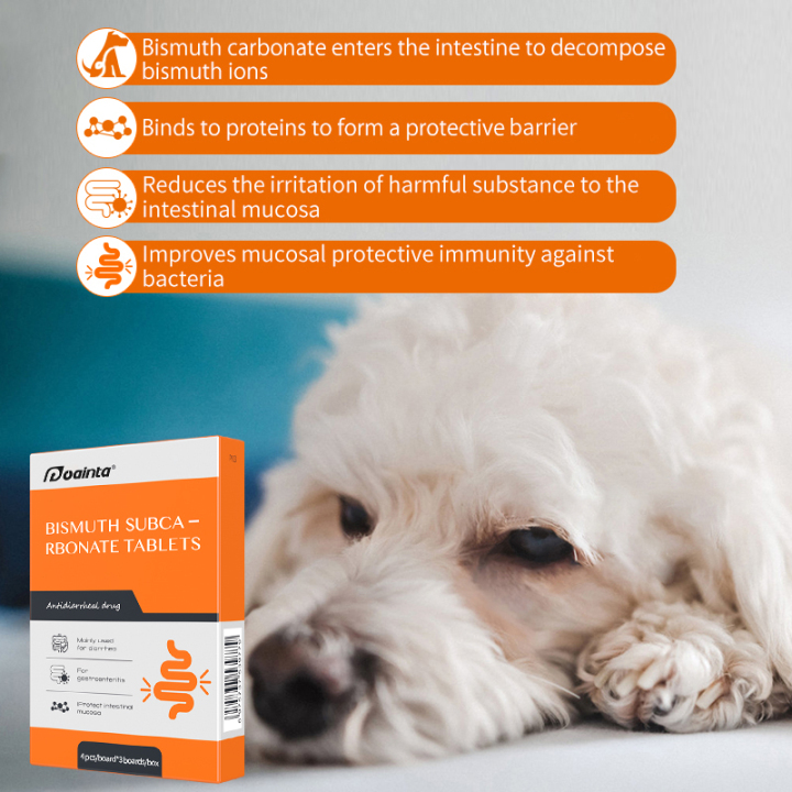 Gastroenteritis Treatment Diarrhea Relief TabletsFor dogs & cats