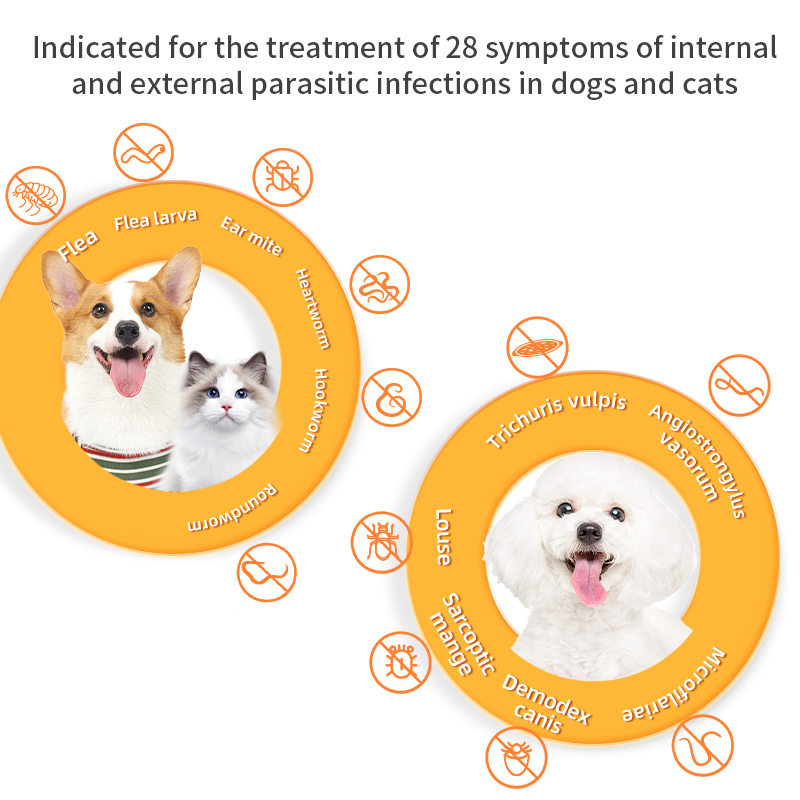 Puainta | Dewormer Anti Flea Lice and Worms for Dogs/ Cats