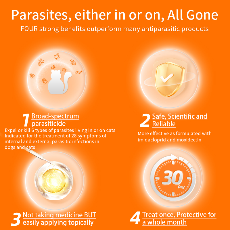 Puainta | Dewormer Anti Flea Lice and Worms for Dogs/ Cats