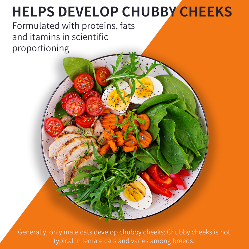 PUAINTA All-in-1 Nutrition Gel for Cats & Dogs: Boosts Appetite, Weight & Shiny Coat - 120g