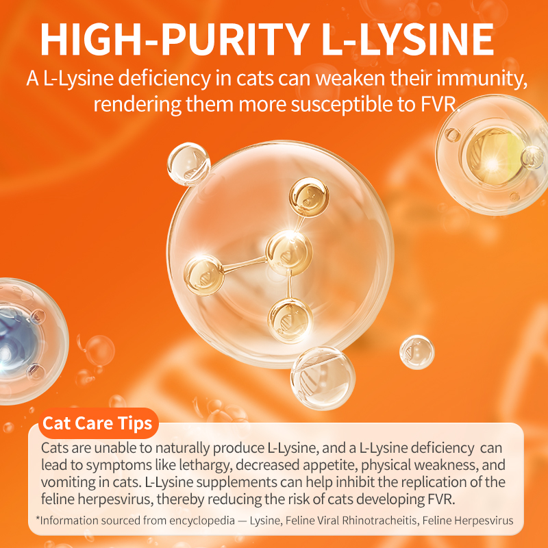 L-Lysine for Cats – Immune Support for Cold, Sneezing, Runny Nose & FVR