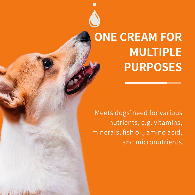 PUAINTA All-in-1 Nutrition Gel for Cats & Dogs: Boosts Appetite, Weight & Shiny Coat - 120g