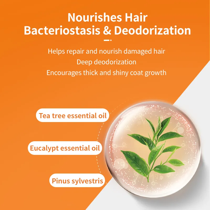 Anti-itch Medicated Shampoo