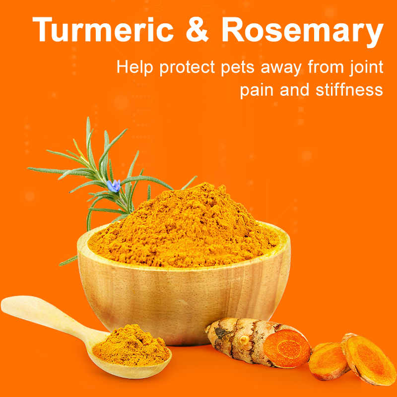 Puainta HIP & JOINT GLUCOSAMINE & CHONDROITIN 